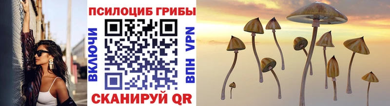 цена наркотик  kraken онион  Псилоцибиновые грибы Psilocybine cubensis  Лысьва 